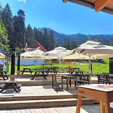 Club Rossignol Braşov